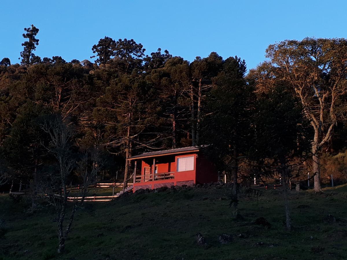 فيلا أوروبيسيفي Pico Da Montanha المظهر الخارجي الصورة